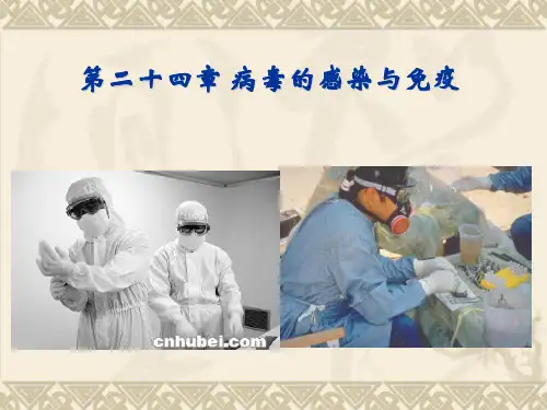 医学微生物学：第二十四章 病毒的感染与免疫