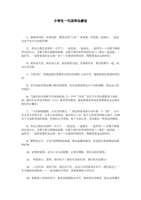 小学生一句话毕业感言