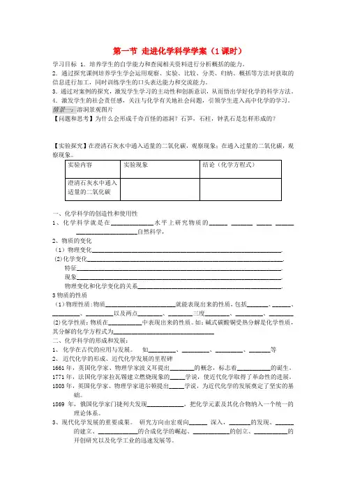 高中化学《走进化学科学》学案11 鲁科版必修1