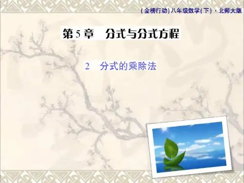 八年级数学下册5.2分式的乘除法习题课件新版北师大版 (2)
