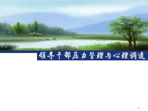 领导干部压力管理与心理调适课件PPT