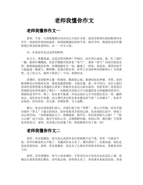 老师我懂你作文