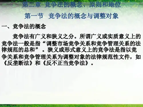 竞争法:概念、原则和地位