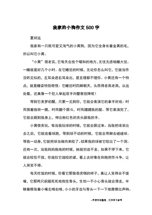 我家的小狗作文500字_优秀作文