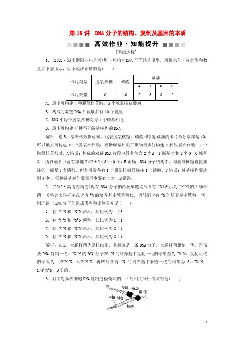 新高考生物一轮复习第六单元遗传的物质基础第18讲DNA分子的结构、复制及基因的本质高效作业知能提升新人教