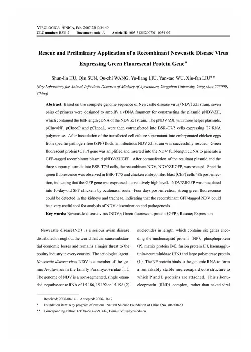重组新城疫病毒表达绿色荧光蛋白基因