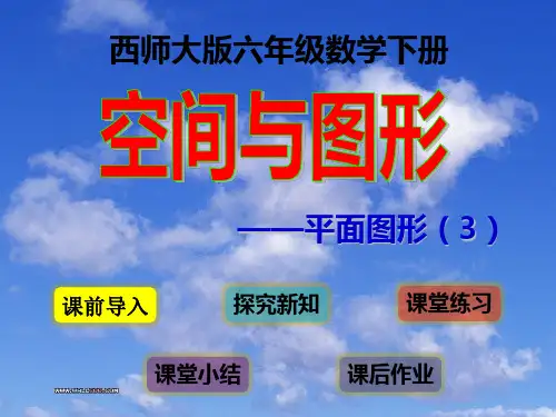 西师大版六年级数学下册  总复习(9)---平面图形3