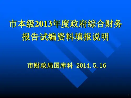 市本级2013年度政府综合财务报告试编资料填报说明