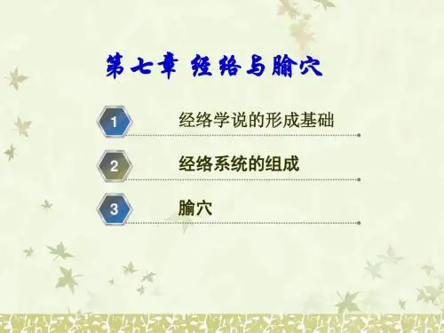 经络与腧穴课件