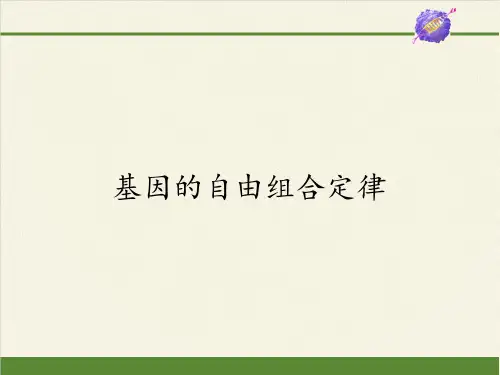 高中生物必修二课件-3.2.1基因的自由组合定律-苏教版