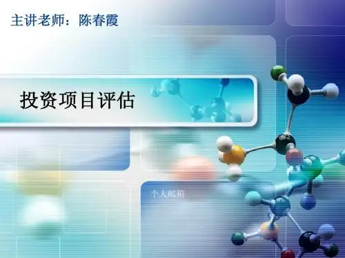 宁波诺丁汉大学国际商务课件(投资项目评估)