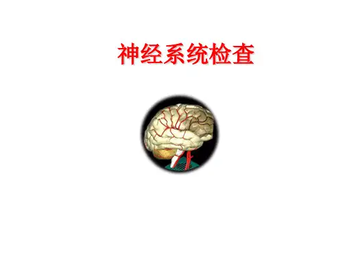 诊断学 神经系统体格检查