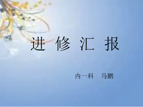 进修汇报
