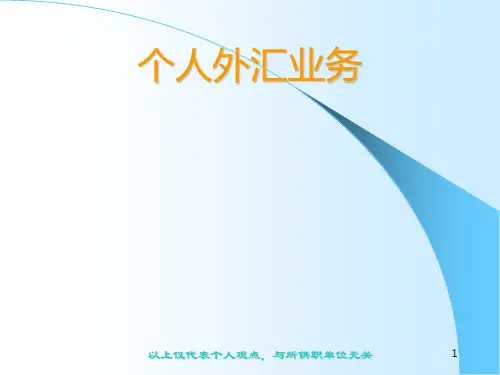 个人外汇PPT课件