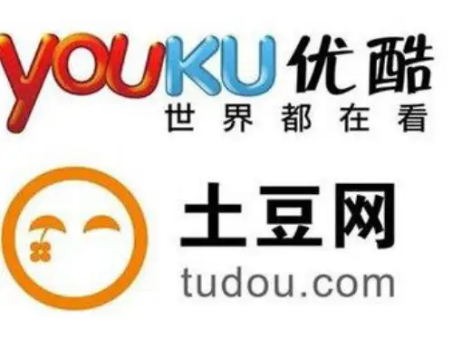 电子商务案例分析—优酷