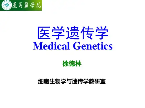 线粒体基因组结构功能与遗传特点
