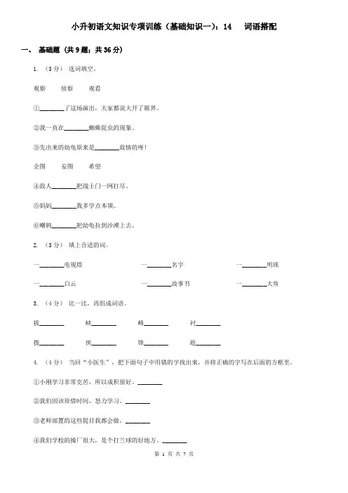 小升初语文知识专项训练(基础知识一)：14   词语搭配