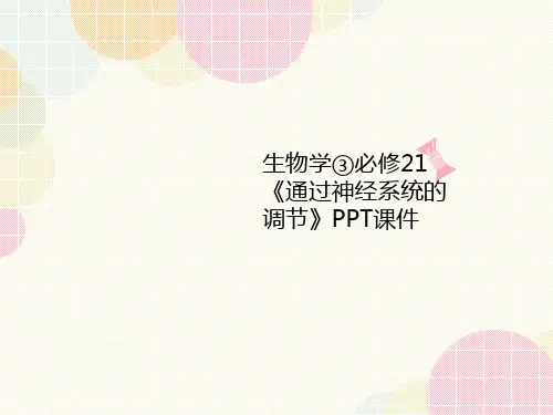 生物学③必修21讲义《通过神经系统的调节》PPT课件