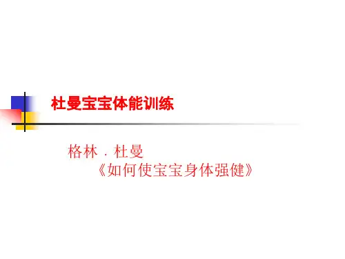 体能训练课件.ppt