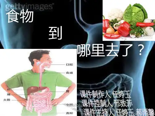 食物到哪里去了
