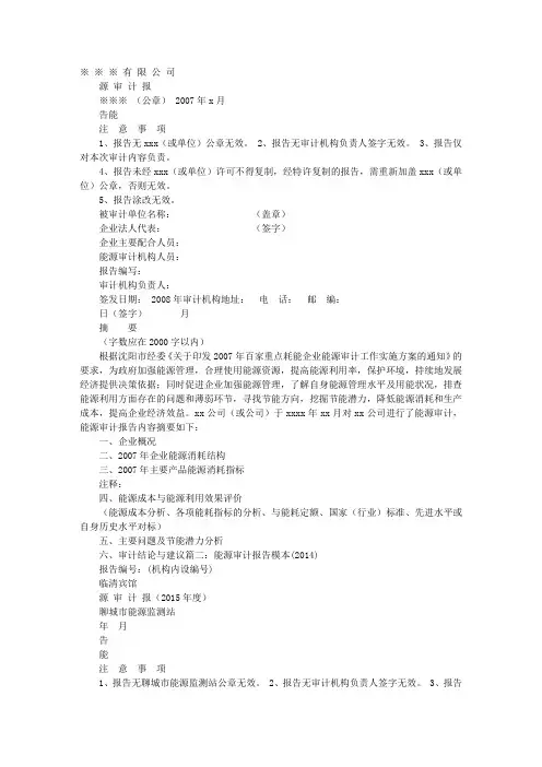 能源审计报告