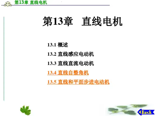 第13章-直线电机