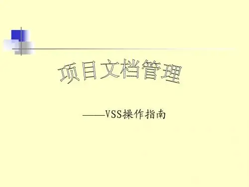 软件配置管理工具vss2005