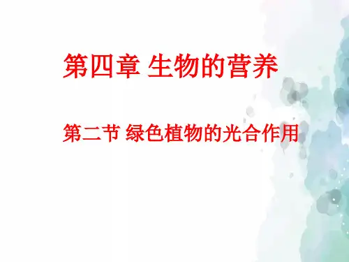 北京课改版生物-七年级上册-4.2 绿色植物的光合作用 教学课件