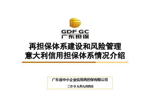 孙宛青再担保体系风险管理和意大利信用担保体系情况介绍幻.pptx