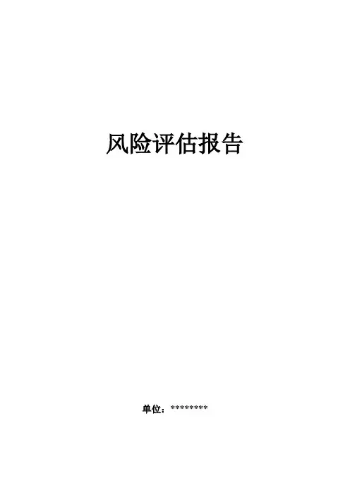 风险评估报告 2