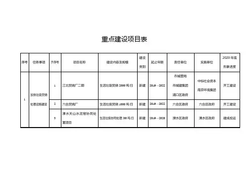 重点建设项目表
