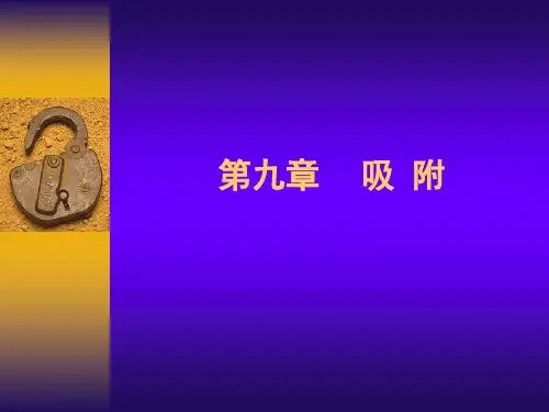 第9章 吸附要点