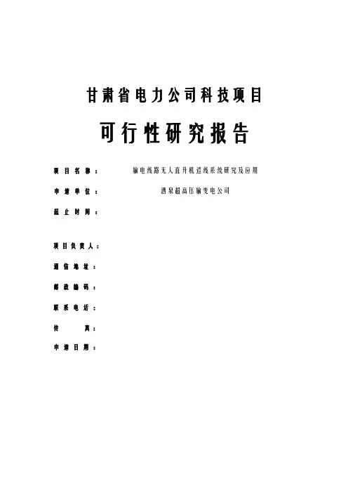 无人直升机科技项目可行性研究报告
