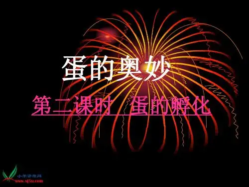 三年级科学下册 孵化技术(鸡孵化过程)课件 教科版