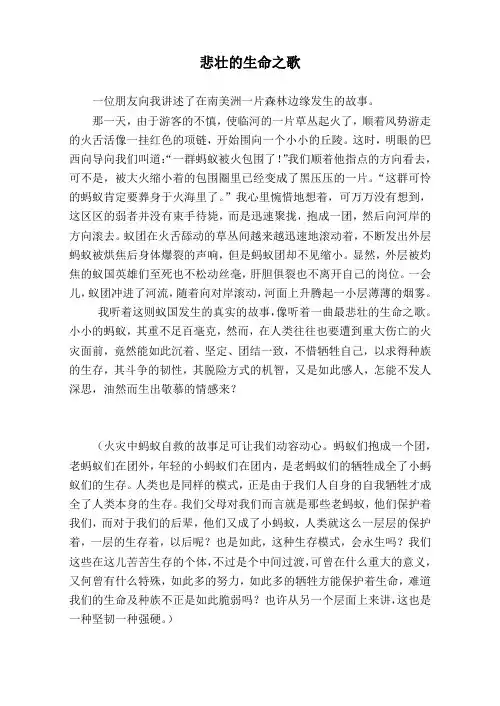 悲壮的生命之歌