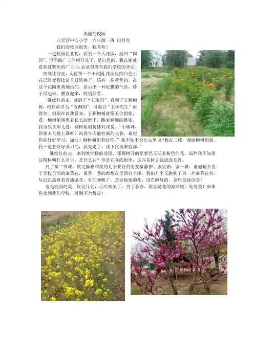 美丽的校园(1)