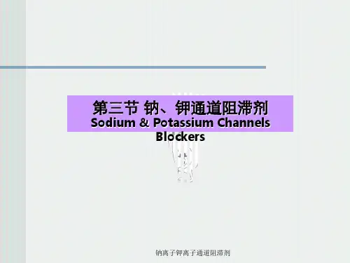 钠离子钾离子通道阻滞剂