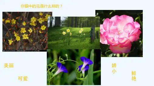语文人教版四年级下册第二十课 花的勇气