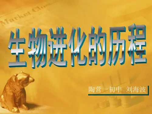7.3.2_.生物进化的历程课件