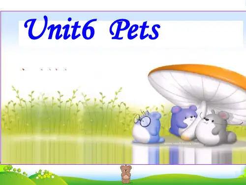 牛津深圳版八年级英语下册《Unit 6 Pets》课件:Words
