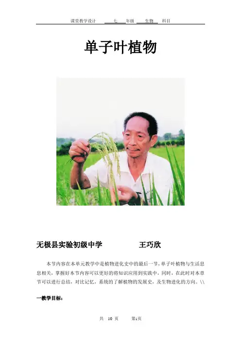 单子叶植物说课稿