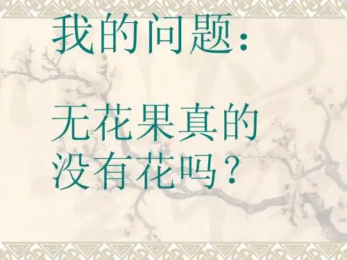 我的问题:
