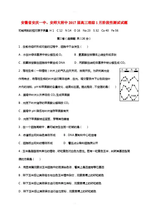 安徽省安庆一中安师大附中2017届高三理综1月阶段性测试试题