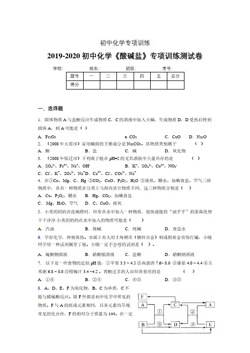 (中考)《酸碱盐》专项训练模拟测试(含答案)  (363)