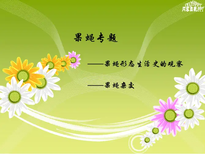 实验六——实验十 果蝇专题