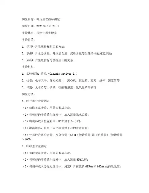 叶片的实验报告单