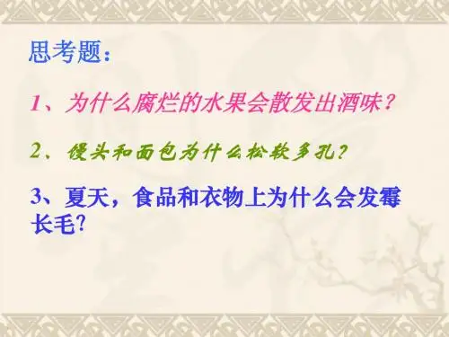第五单元第四章第三节真菌