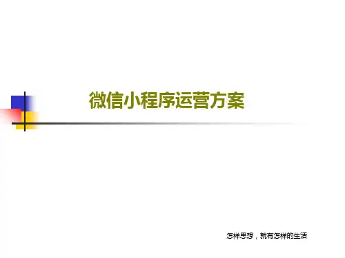 微信小程序运营方案20页PPT