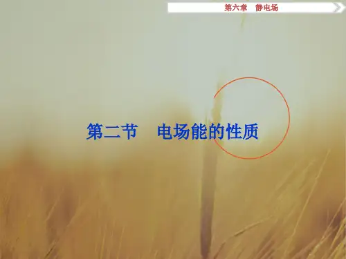 2018高考总复习物理江苏专用课件：第六章第二节