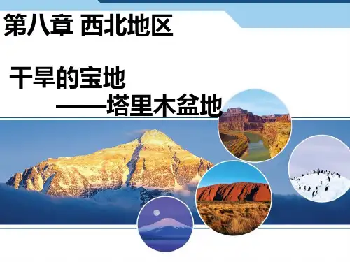 第八章第二节干旱的宝地——塔里木盆地(新人教版)